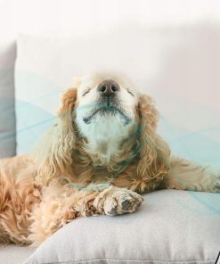 Alternative view of Wentylator Podłogowy AERSON 50 cm chromowany 140 W regulacja