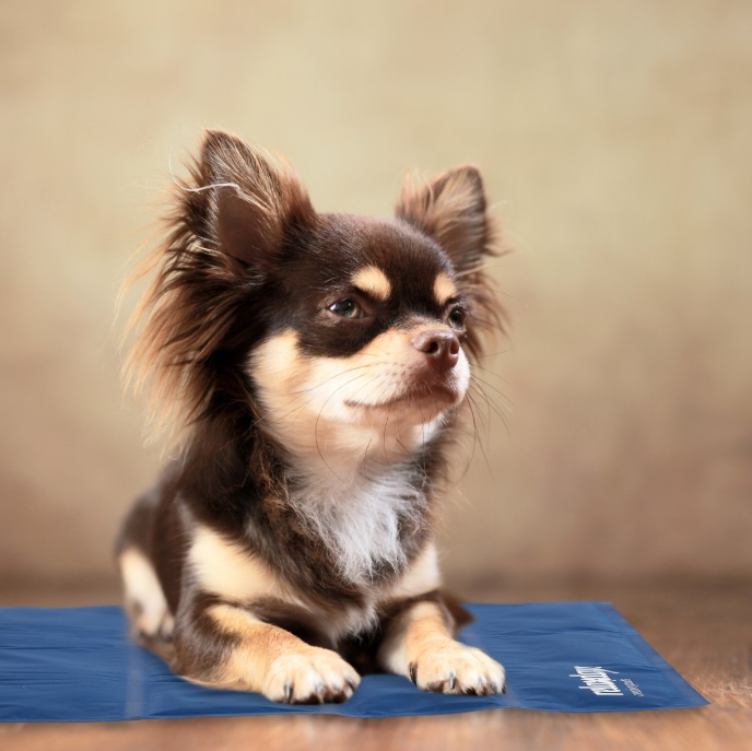 Mata chłodząca żelowa dla psa i kota 50x40 cm na lato - obrazek 6