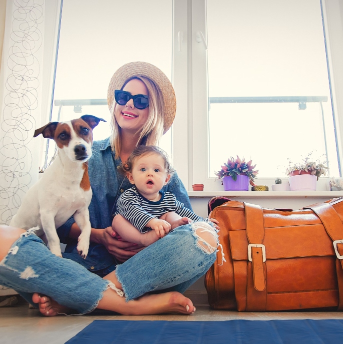 Mata chłodząca żelowa dla psa i kota 50x40 cm na lato - obrazek 7