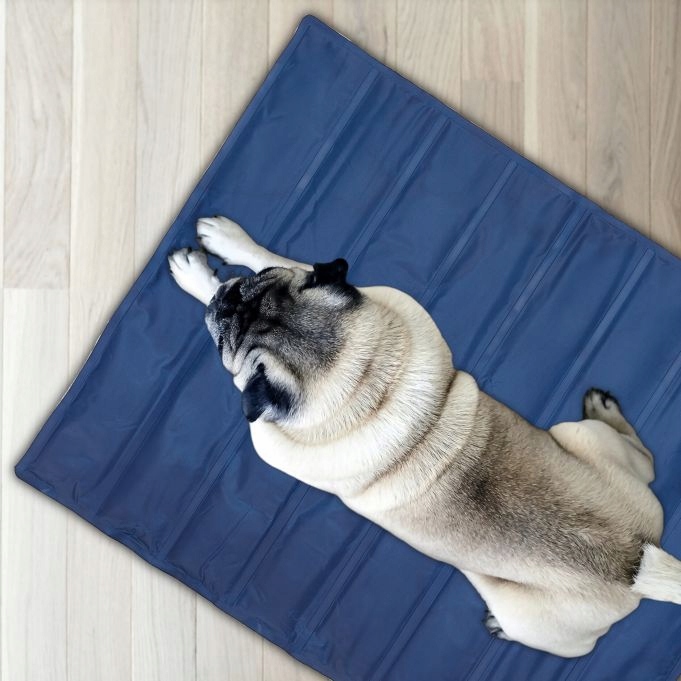 Mata chłodząca żelowa dla psa i kota 50x40 cm na lato - obrazek 3